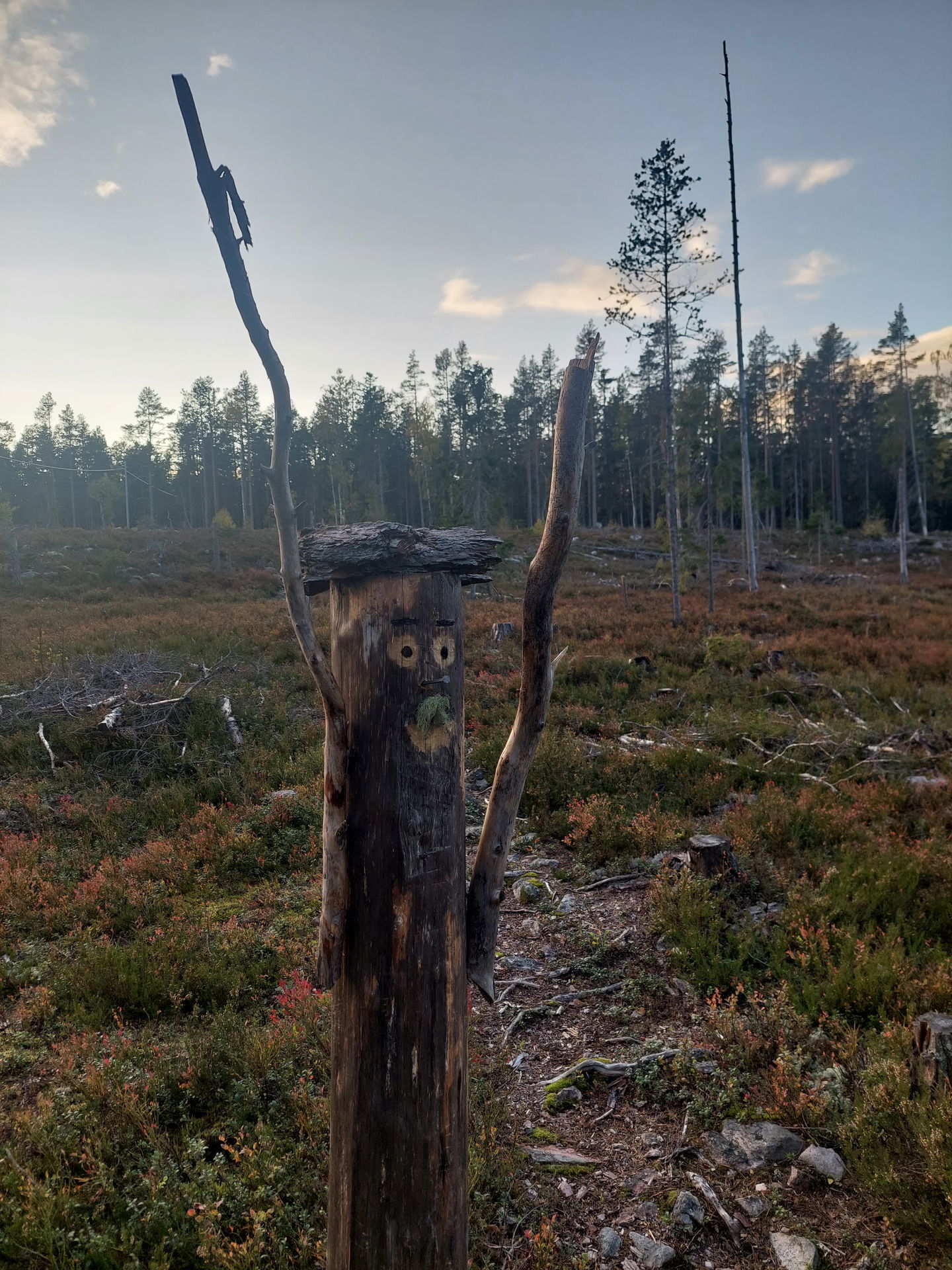 Välkommen upp!