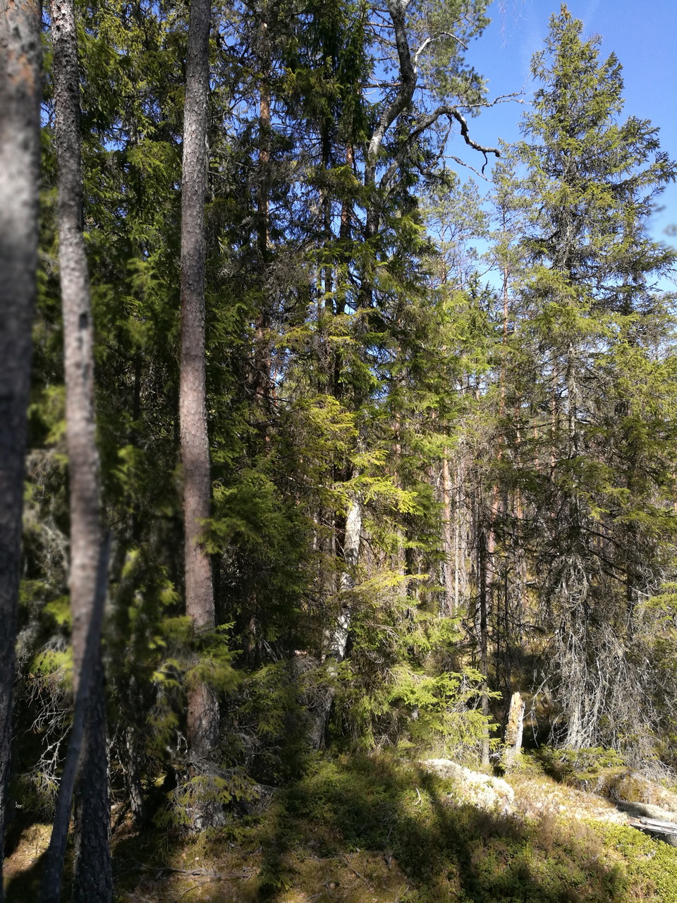Fotograf: Ellen Flygare