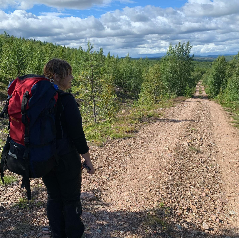 Skogsbilvägen mot Mölingdalsvallen