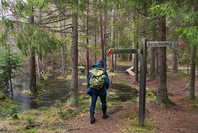 En person med stor ryggsäck på ryggen vandrar genom en tät skog. På ena sidan av personen står en vägvisare och på andra finns en tjärn..