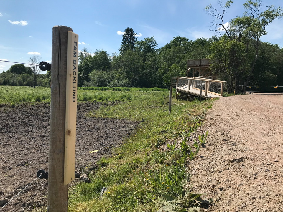 Stolpar längs Stadssjöns led.