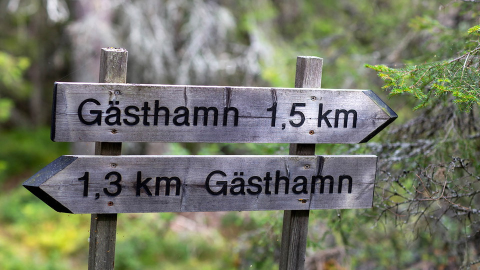 Hänvisningsskyltar i trä.