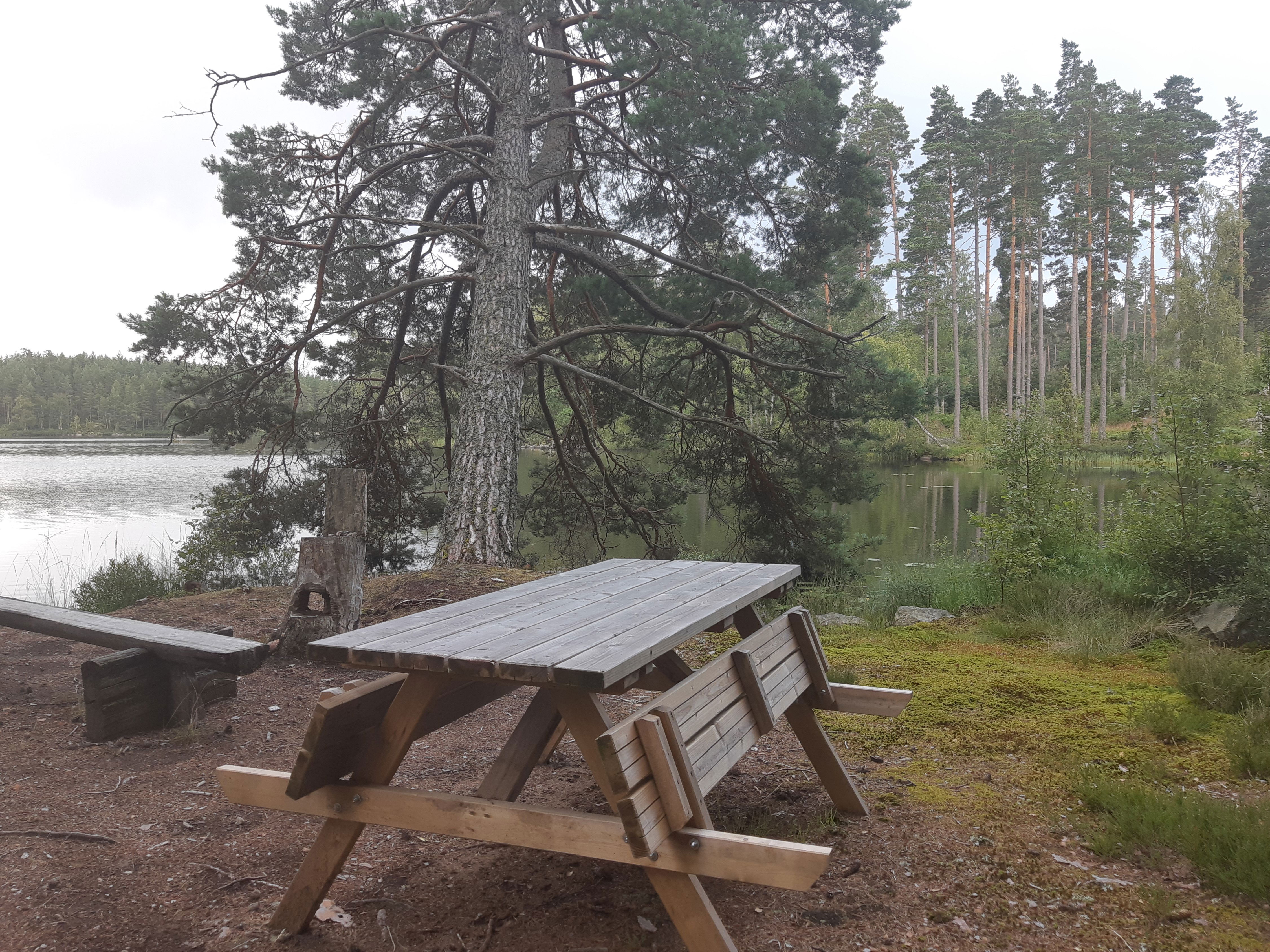 Rastplats Hedasjön