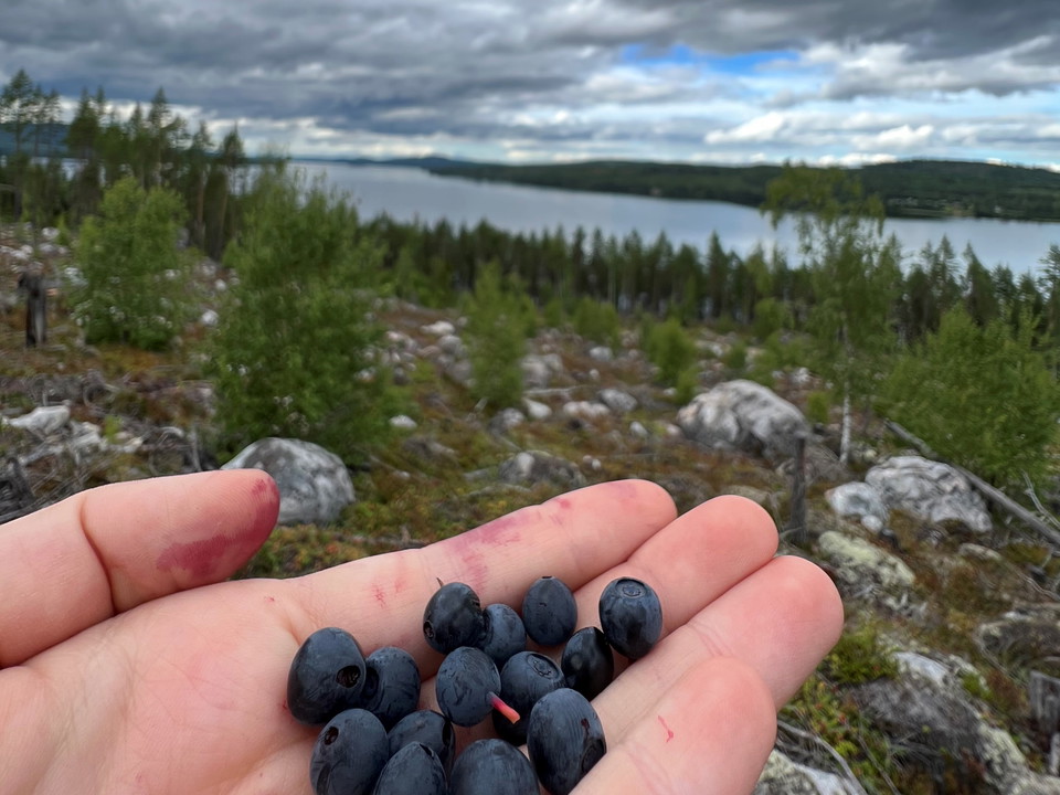 Stråsjöleden går väster om sjön Hennan