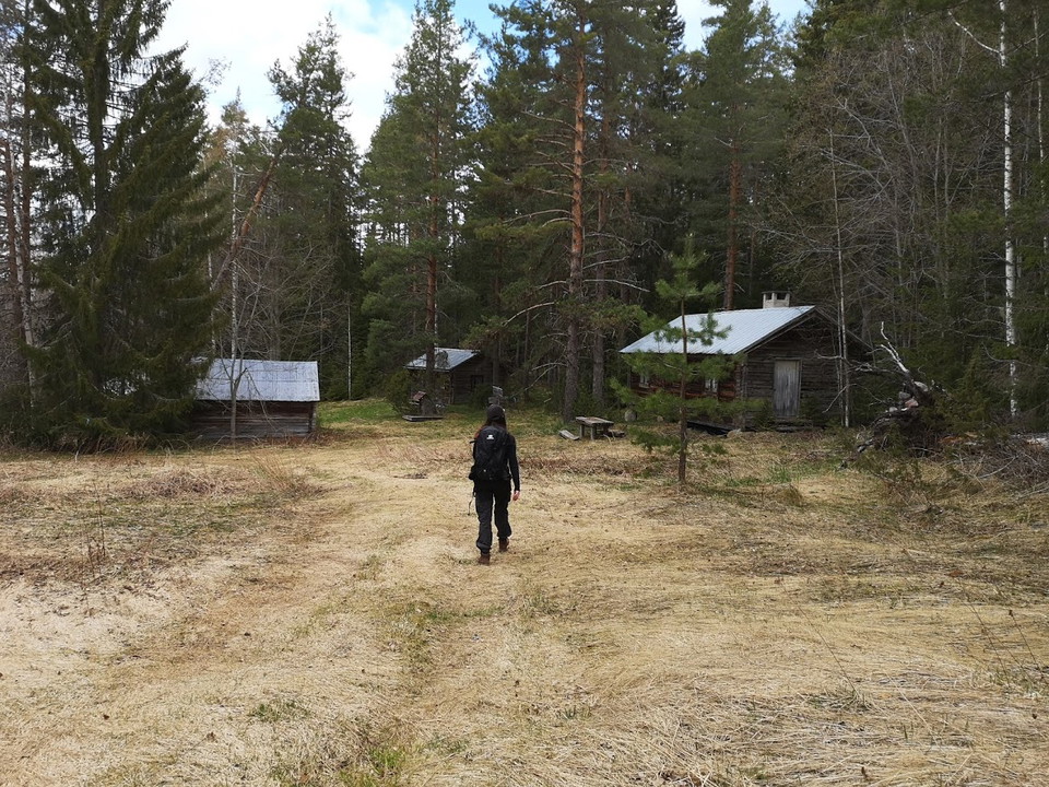 Renåsvallen