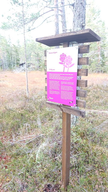 Informationstavla Myren Naturstigen