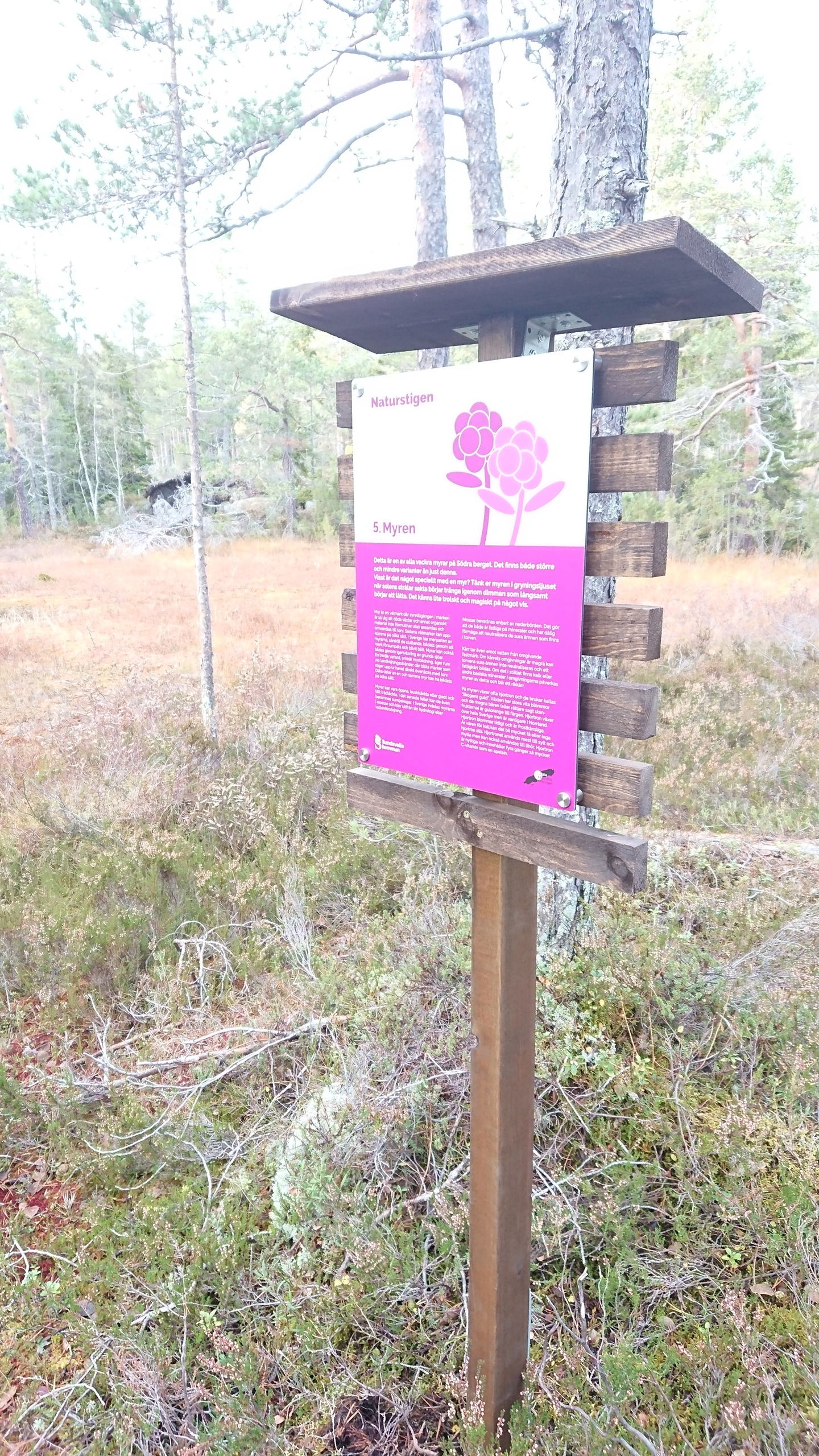 Informationstavla Myren Naturstigen