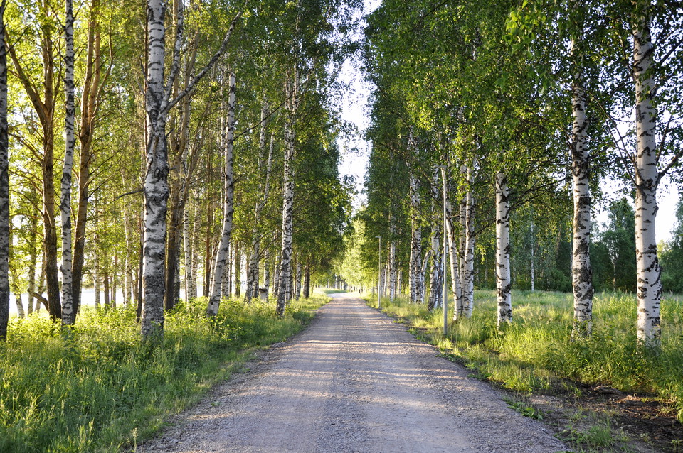 Strandpromenaden sträcker sig genom vackra Överkalix