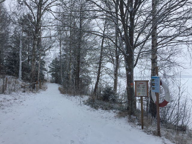 Bella Blåmes trädstig i Dansäter