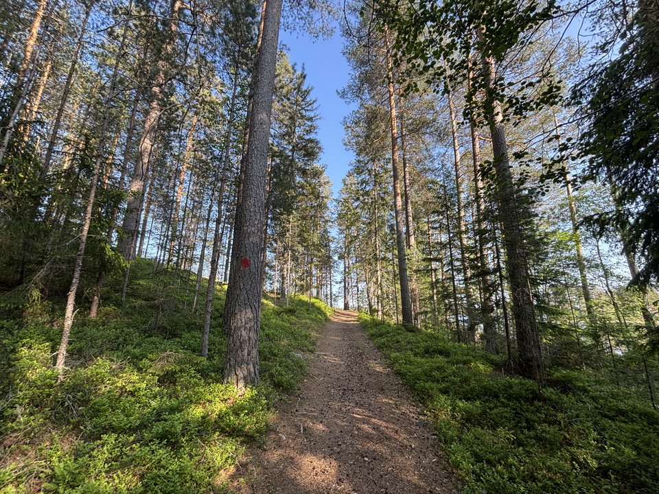 Malingsbo-Kloten leden Tillnäset