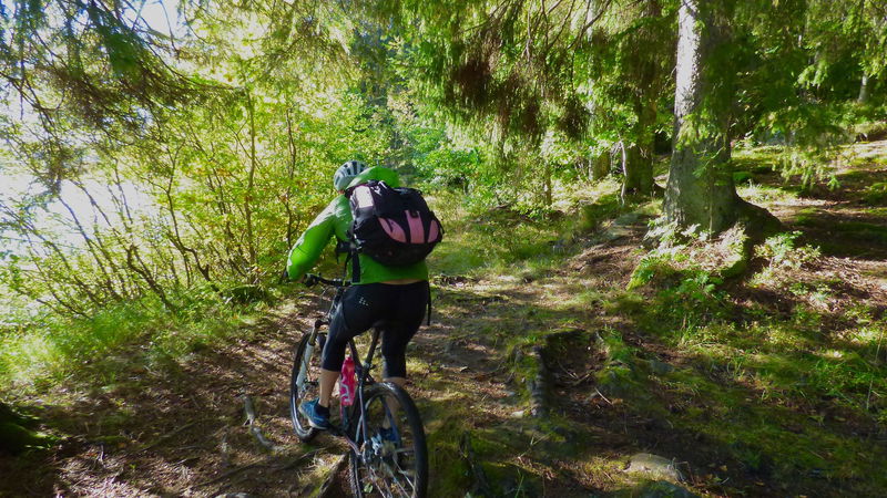 Experience Ecopark Halle-Hunneberg