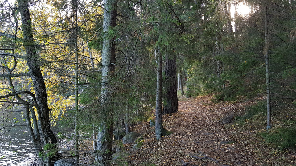 Stig vid Bosöns norra strand. Foto Lidingö stad