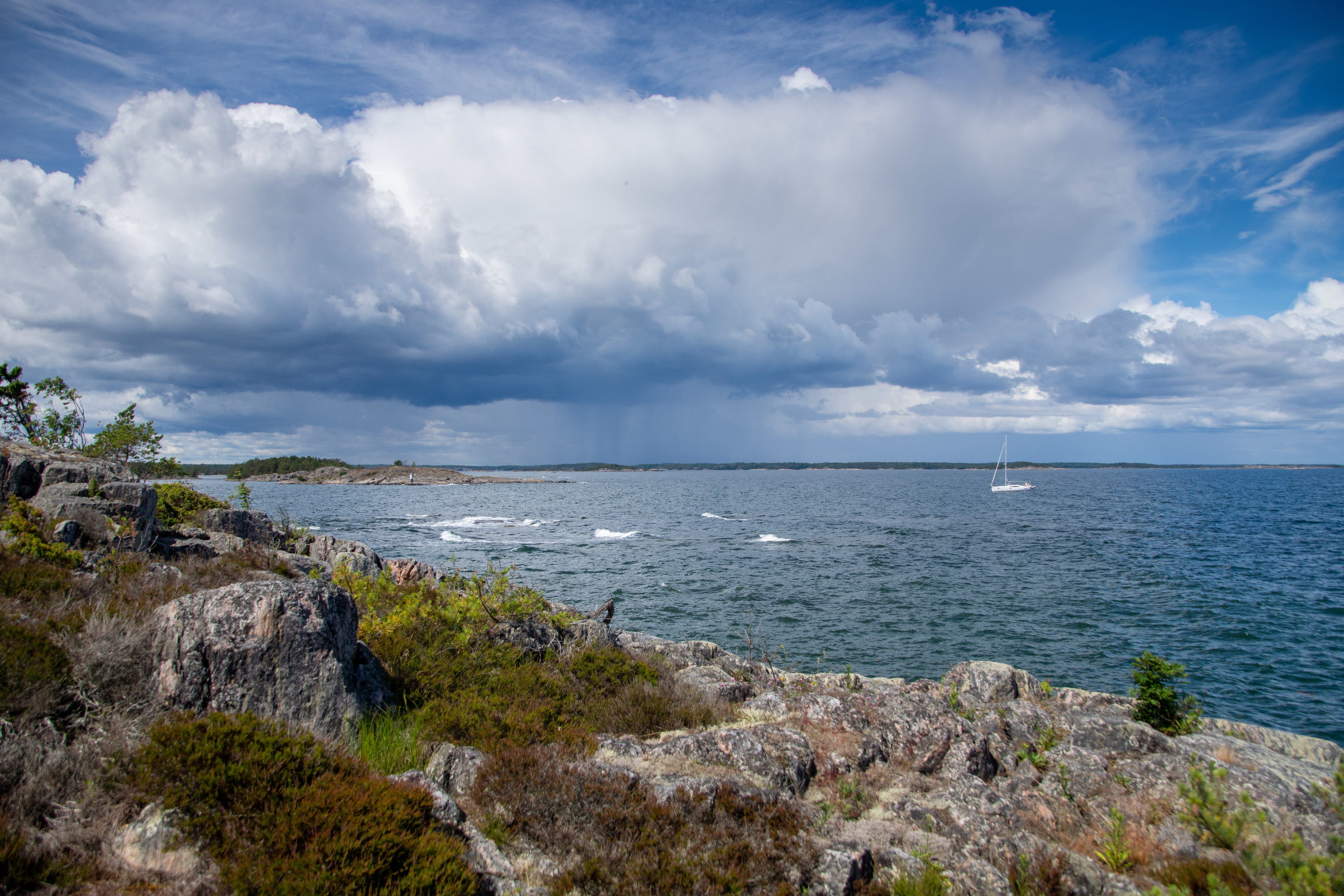 Utsikt över en havsvik på sommaren