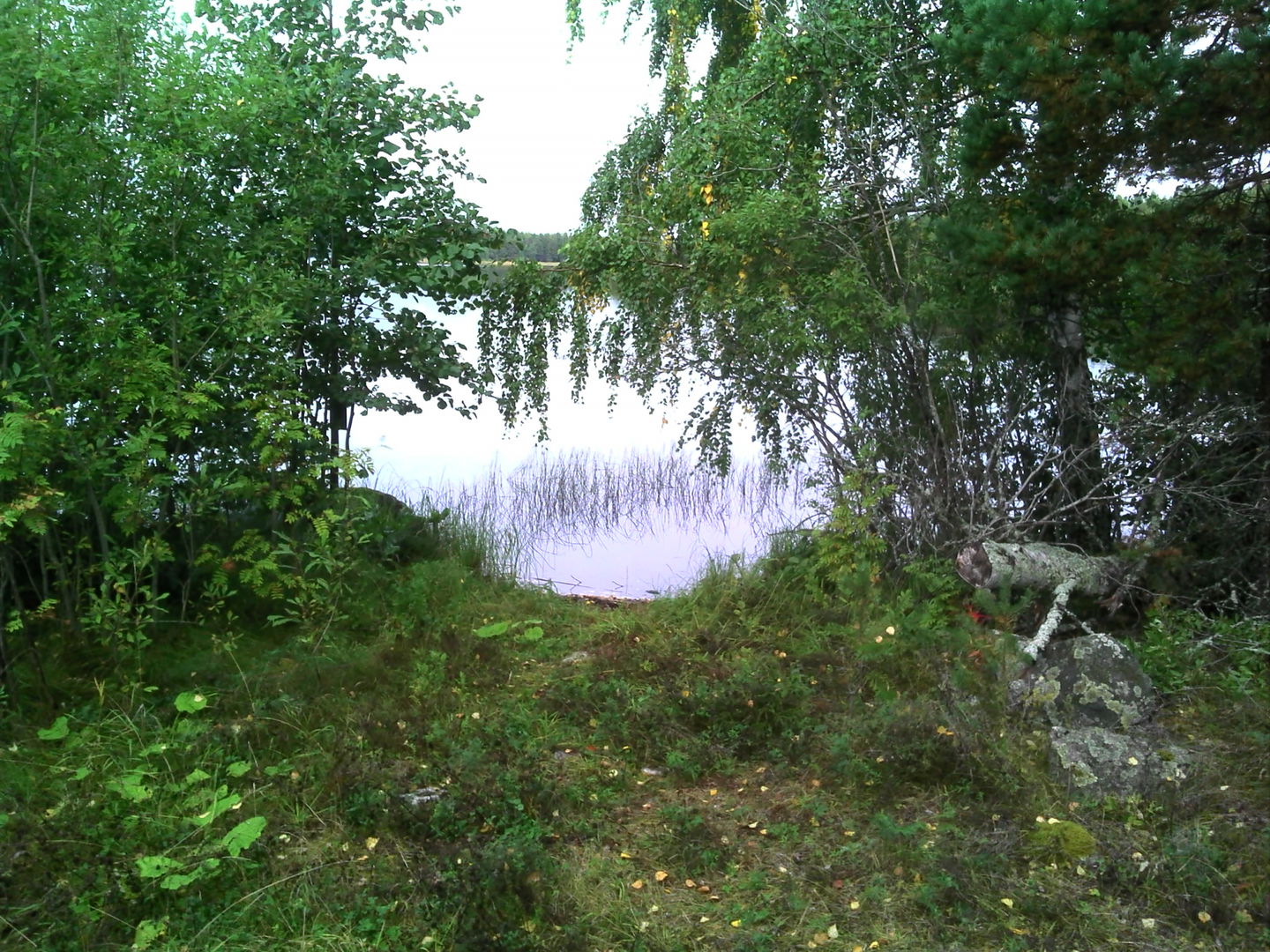 Långviksvallen