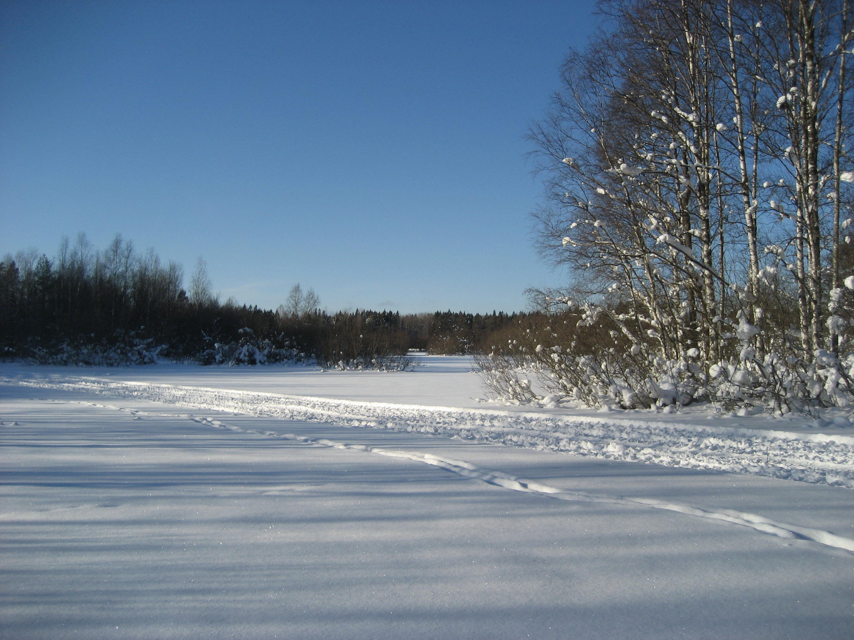 Ett snötäckt flackt område i naturen. I bakgrunden finns buskar och träd och över snön går det olika spår.