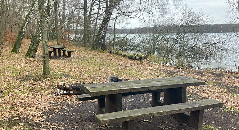 Rastplats vid Snogeholmssjön.