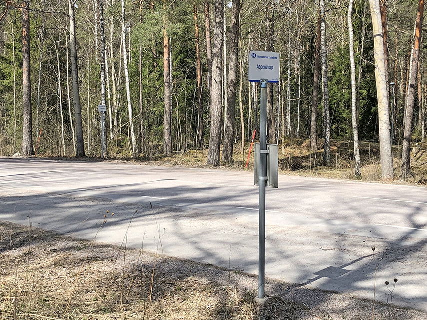 Busshållplatser vid landsväg kantad av tallar.