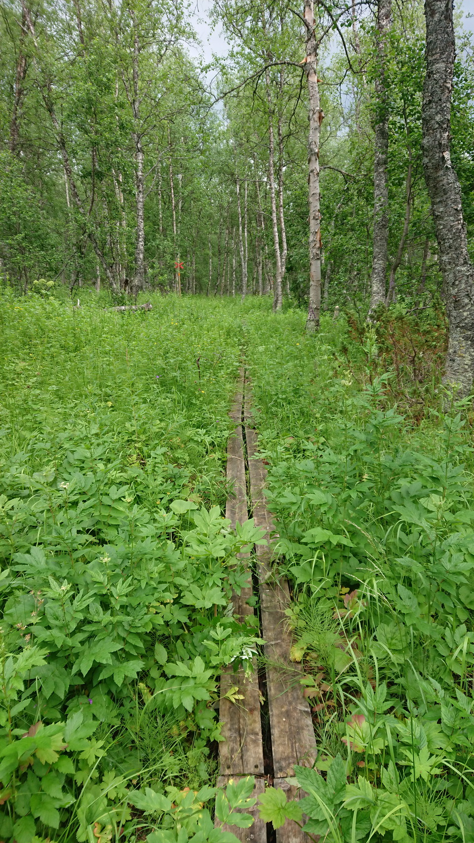 Leden mot Rödingsjö.