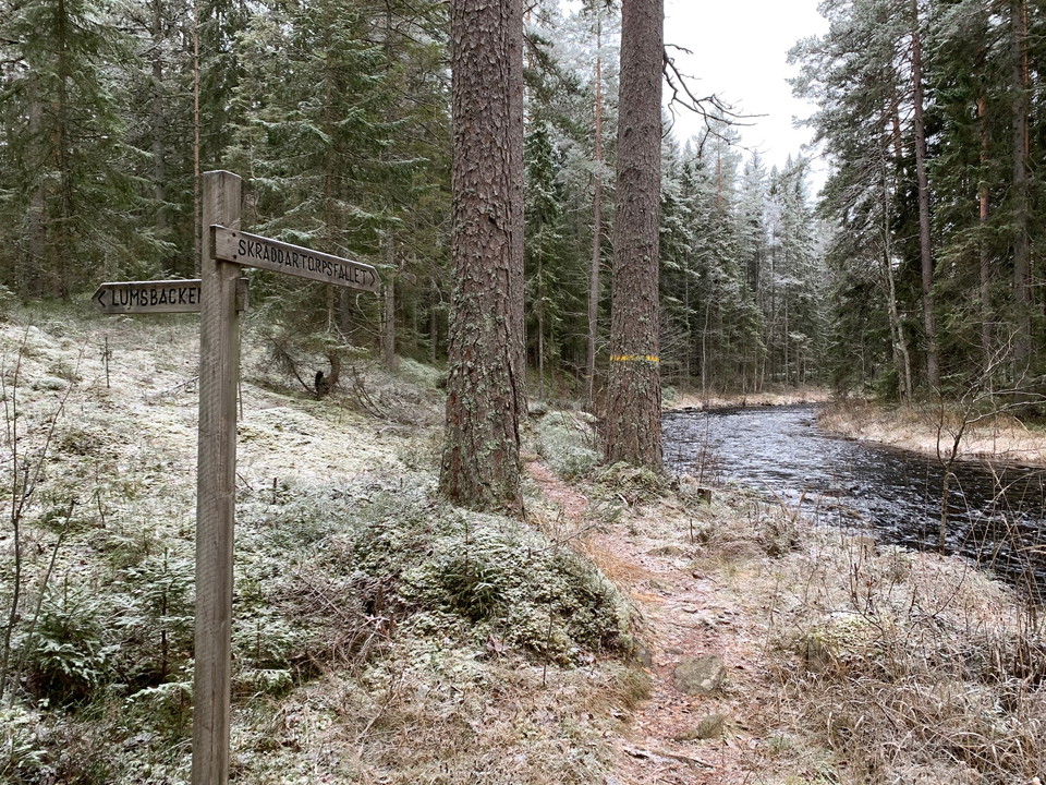 Ledstart eller mål Lumsen