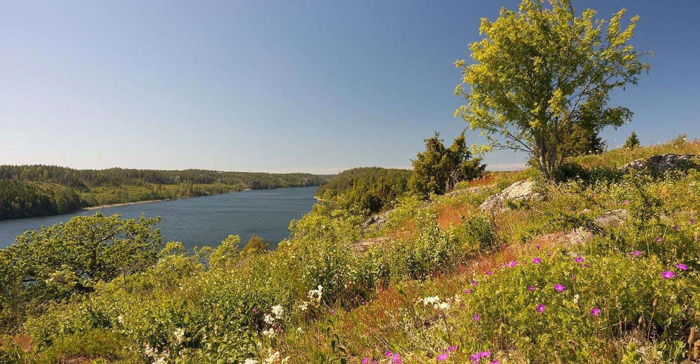 Hammarsten vårdkase
Sträcka Valdemarsvik-Gryt
Valdemarsvik
