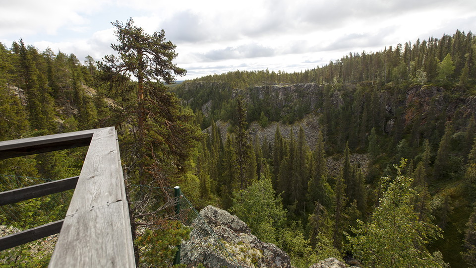 Utsikt över en trädklädd ravin.