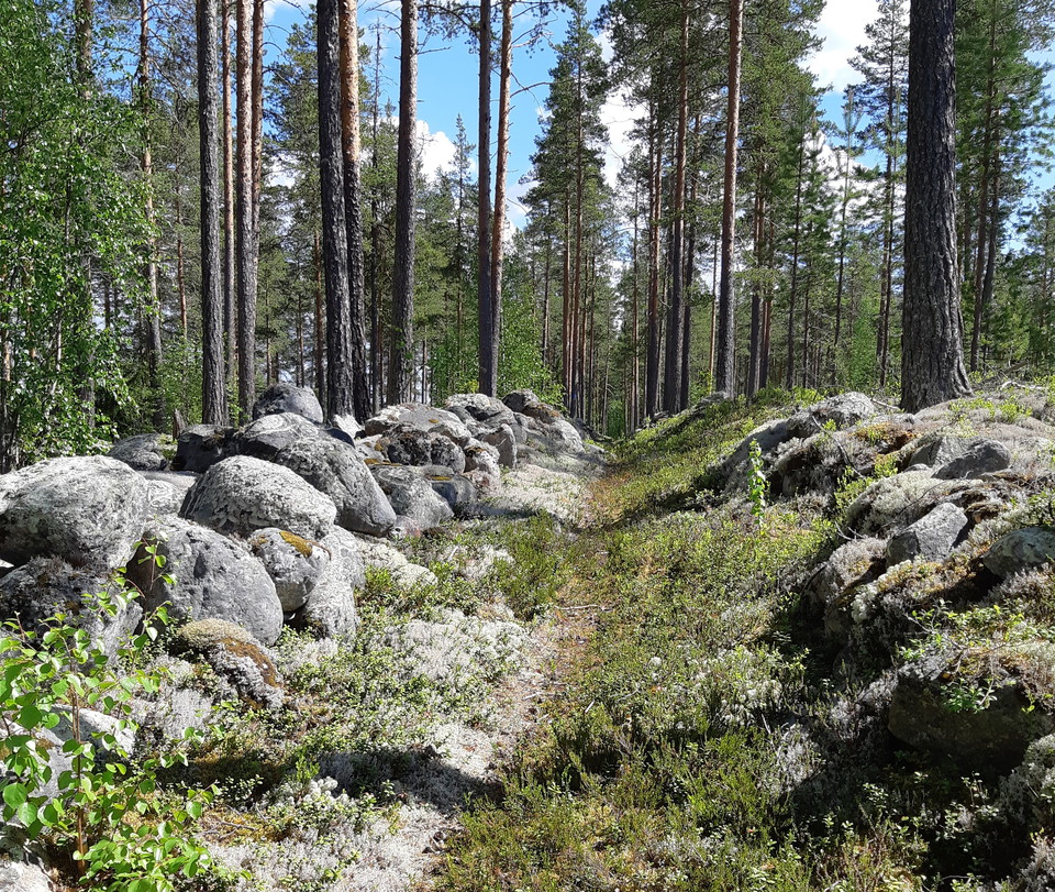Tungt arbete med att flytta stenar för att bygga cykelväg!