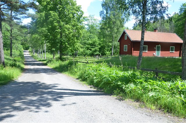 Gladö Kvarnsjön – bad, svamp- och bärmarker