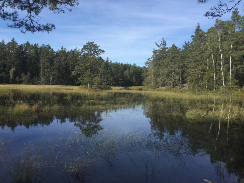 Skeppnans naturreservat