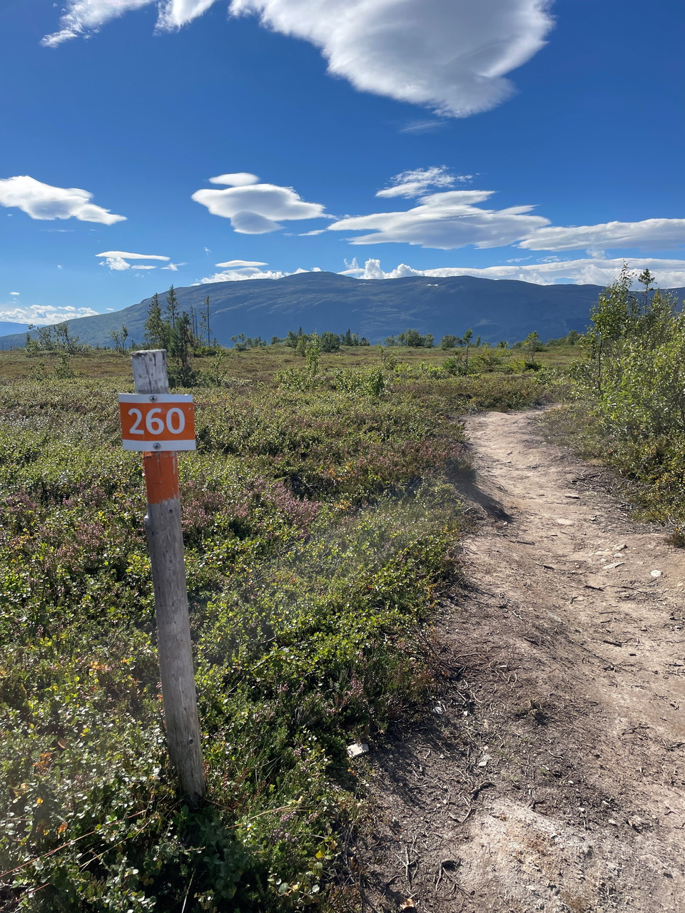 En skylt med lednummer 260 och en torr stig som leder framåt över ett fjäll