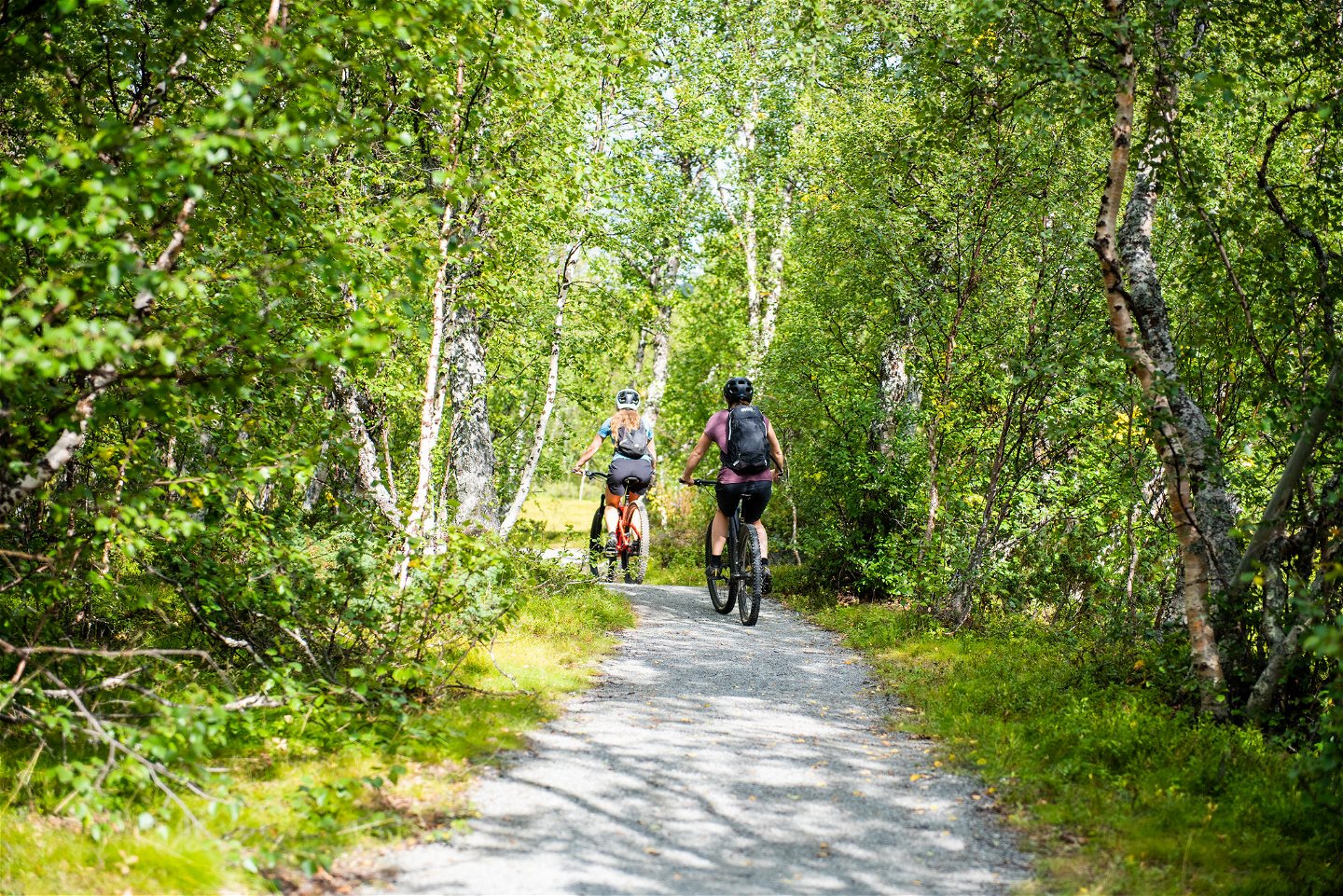 Leden delas mellan cyklister och vandrare. Foto Marianne Lindgren