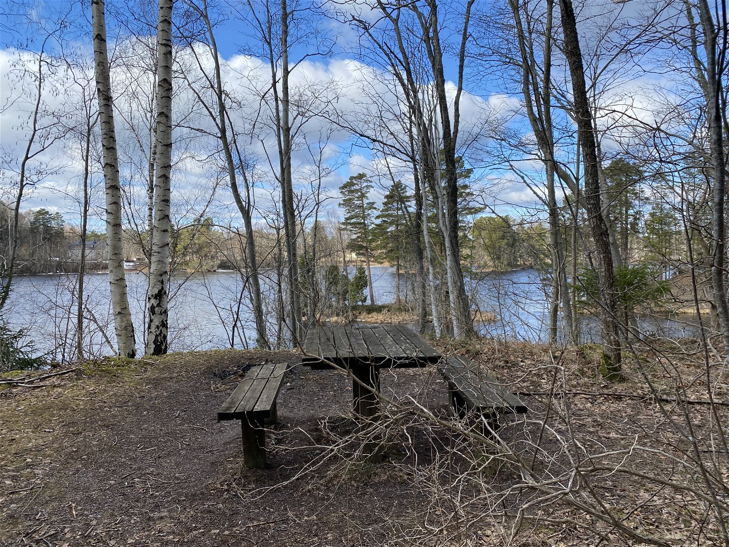 Ett bänkbord står på en öppen yta på en höjd vid älven. Runtom rastplatsen står många kala träd. 