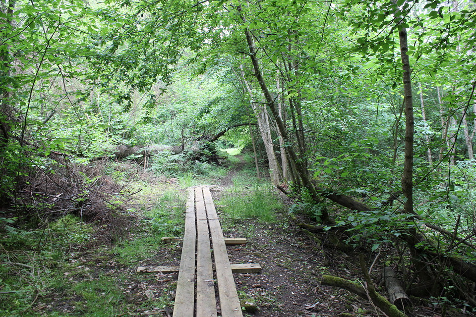 Spång efter stigslinga på Östra holmen.