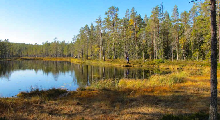 Kullarna-Häxtjärns naturreservat.