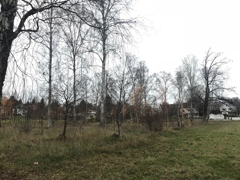 Olympiadungen. Foto Lidingö stad