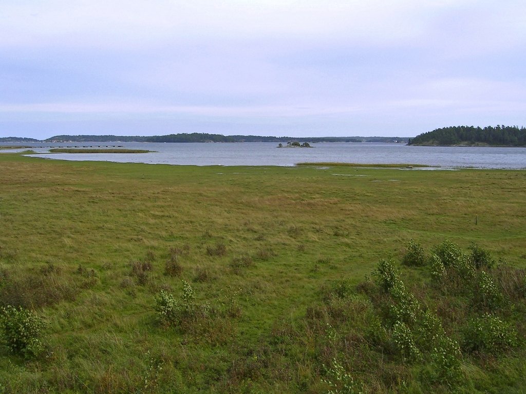 Fina strandängar och fågelskyddsområde finns i Sandemar.