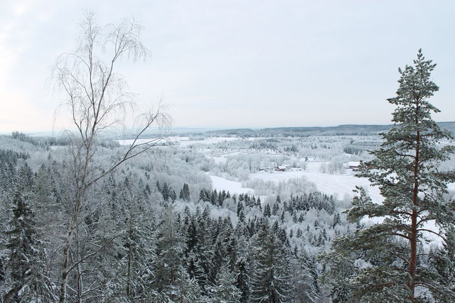 Vandringsled på Håleberget