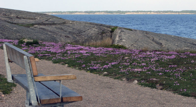 en bänk vid havet