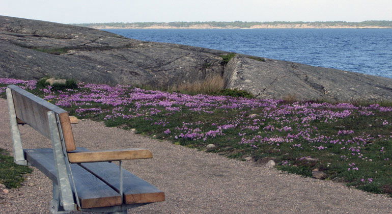 en bänk vid havet