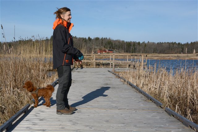 Spana efter fåglar från tillgänglig plattform vid Lissmasjön