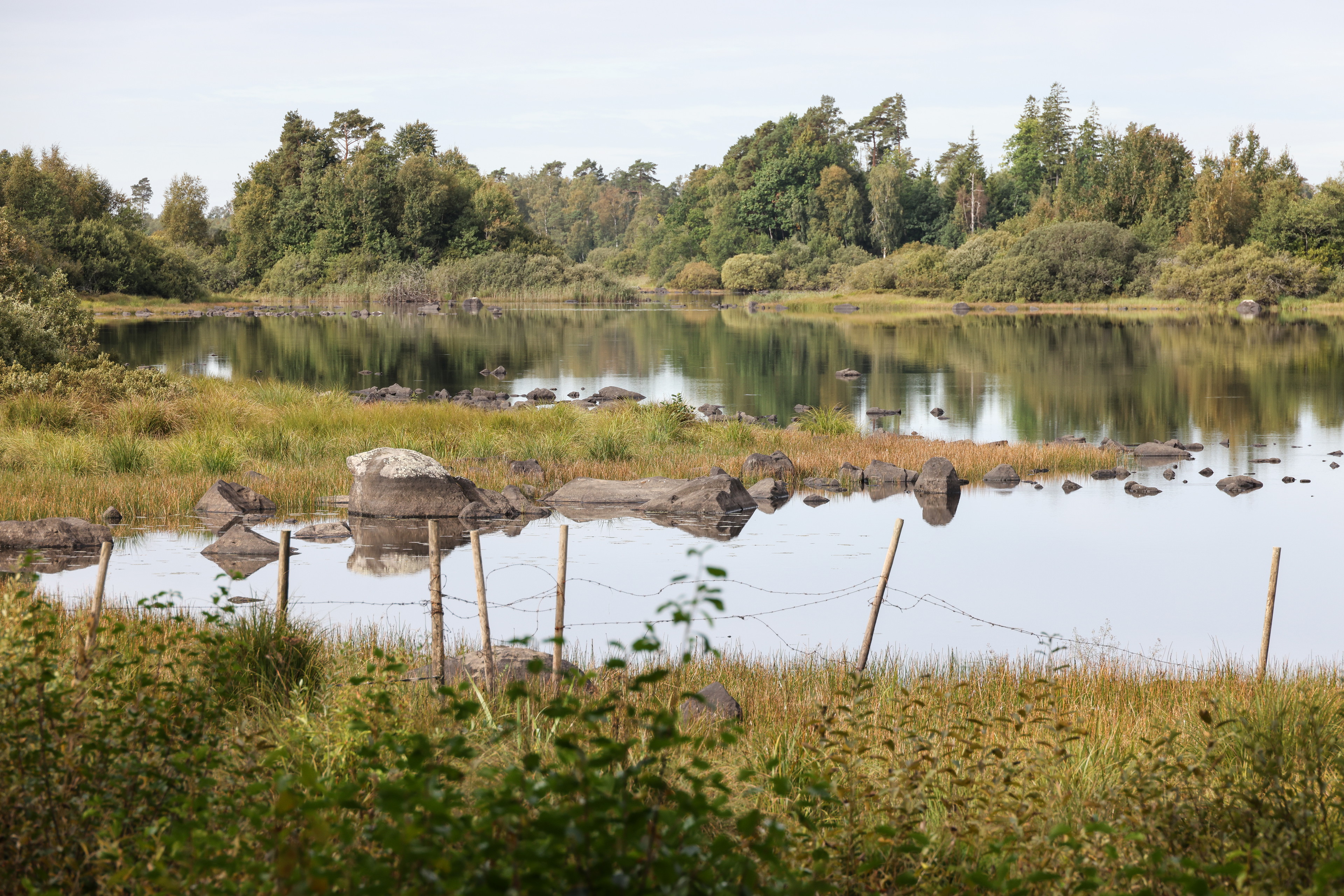 Information about bird watching, Insjöslingan