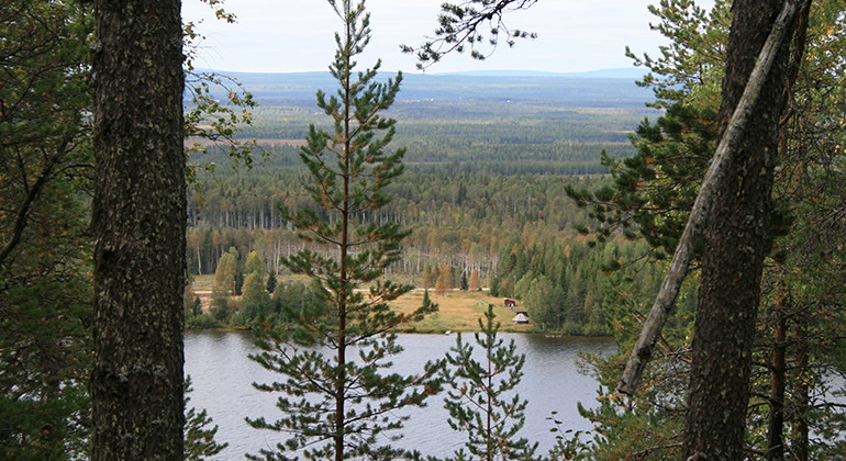 Utsikt från Berget Jomotusvaara.