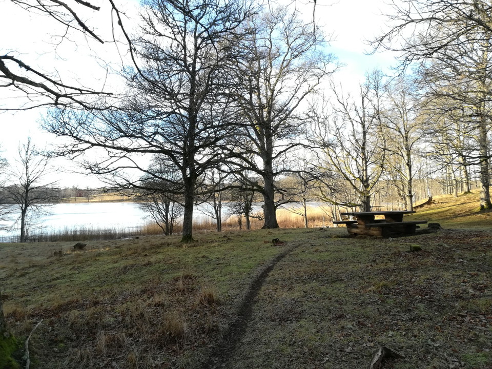 Rastbord vid sjö