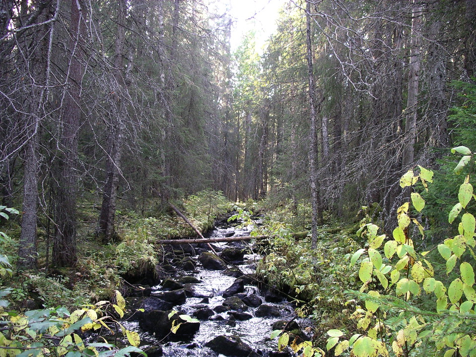 Eldsjöbäcken