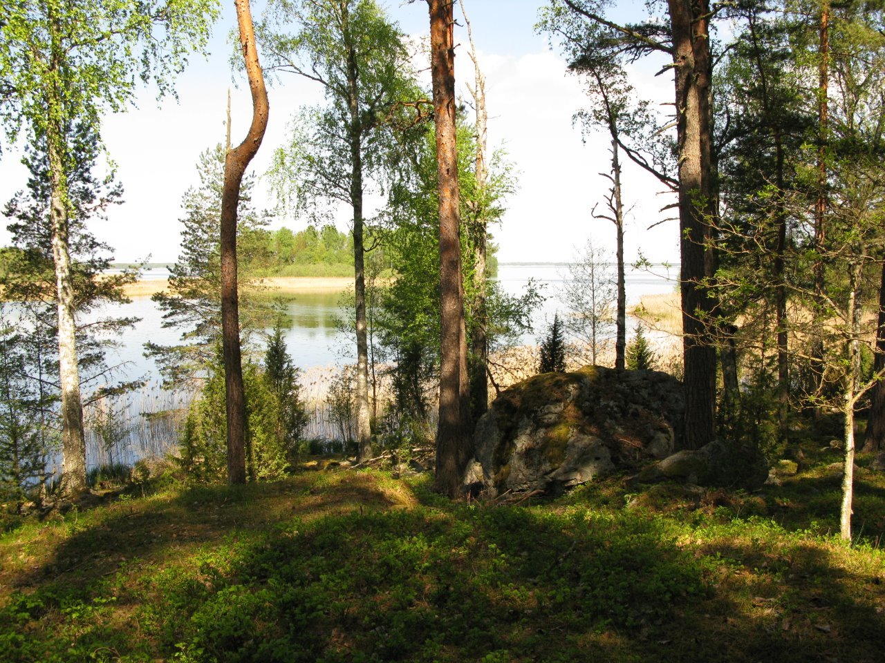 Kuperad terräng med stenblock och träd leder ner till en sjö.