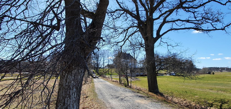Vy mot Årsta slott från allén i norr.