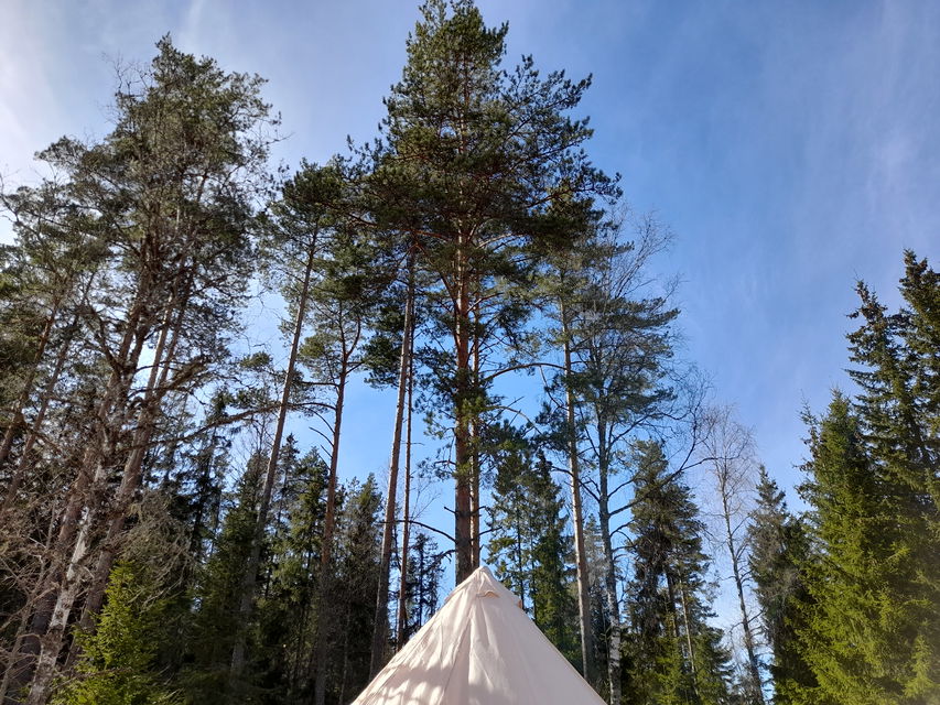 Topp av tipi och himmel
