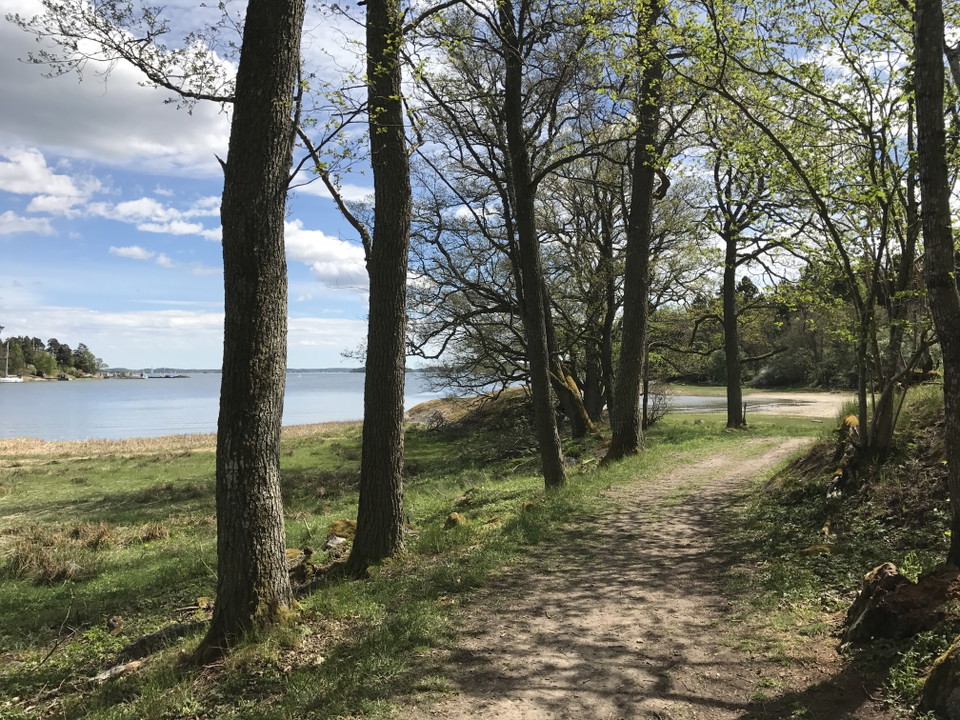 Näsuddens naturreservat