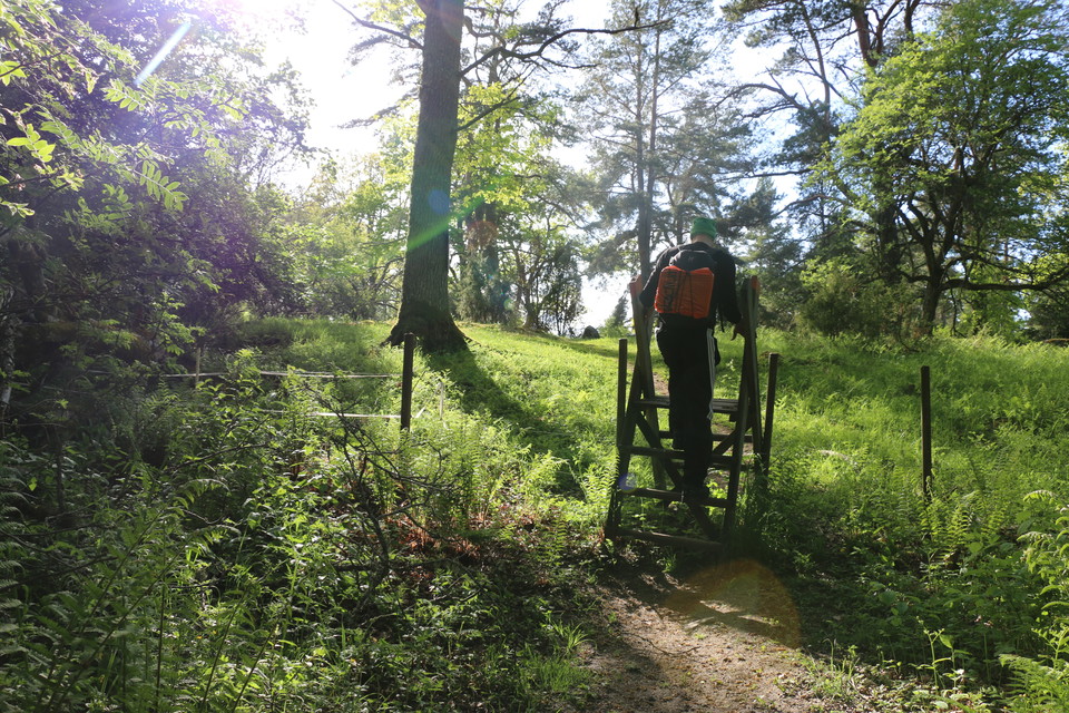 En person med ryggsäck klättrar över en stätta, som är en enklare trapp som går över ett stängsel.