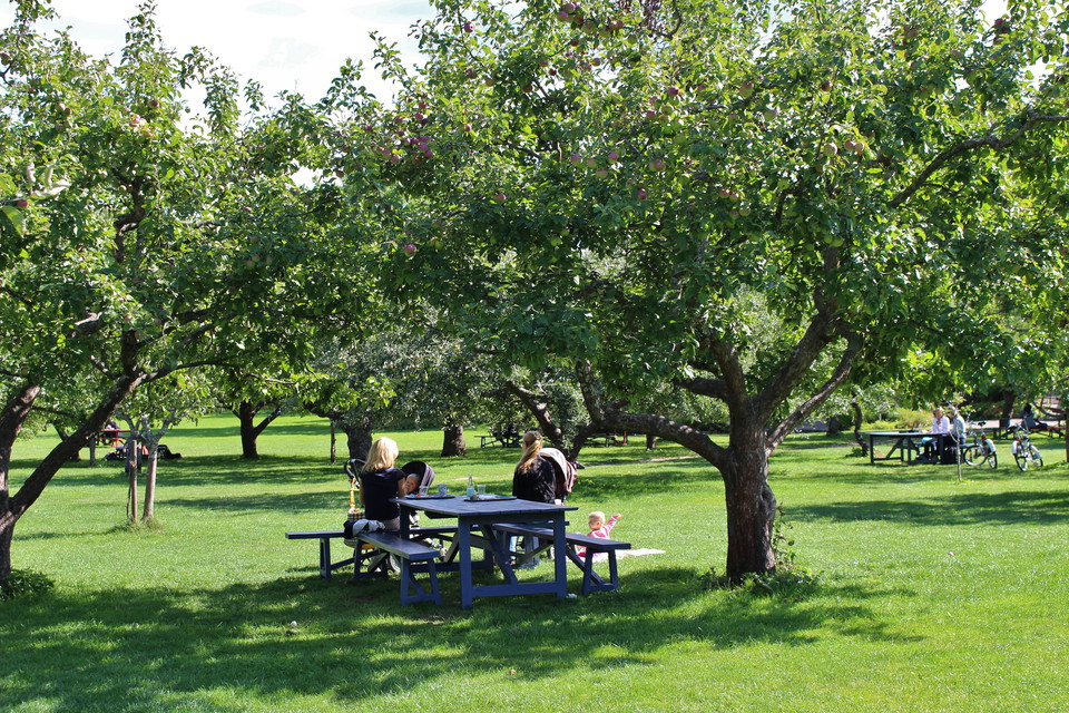 Nationalstadsparken Rosendal.