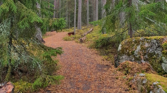 Fram till områdets grillplats är stigen bred och jämn